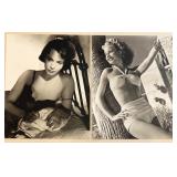 Collection of 20 Vintage Hollywood Starlet Glossy Photographs
