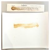 Believed to be from 1949 Criss Cross Movie Press Photo Set with Cast in Key Scenes