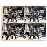 Collection of Vintage Movie Stills from 