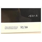 Lot of 14 Vintage 1950s Movie Lobby Photos - I