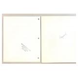 Collection of Vintage Movie Star Susan Hayward Publicity Photos and Studio Prints