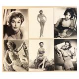 Lot of Vintage Hollywood Actress Black and White 8x10 Prints Featuring Greta Garbo, Lauren Bacall,  Bette Davis, Kim Novak, Jane Powell and more