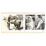 Collection of Rhonda Fleming Movie Lobby Cards and Publicity Photos