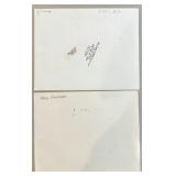 Barbara Hale Publicity Photo and Ephemera Collection - 1950s Black-and-White Movie Stills with Negative