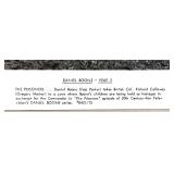 Collection of 13 Vintage TV Western and Comedy Publicity Stills Featuring Daniel Boone