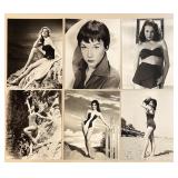Large Vintage Hollywood Celebrity Photograph Collection, Black and White Prints Featuring Shirley MacLaine, Yvonne Furneaux, Anita Ekberg, Greer Garson