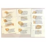 Collection of Vintage Hollywood Movie Publicity Photos and Press Materials - Audrey Hepburn, Fred Astaire