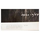 Paulette Goddard Actress Photographs and Magazine Collection