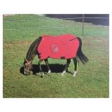 Signed 2016 Canvas Print, Grazing Horse with Red Blanket, 40x30 Inch Signed 2016 Canvas Print, Grazing Horse with Red Blanket, 40x30 Inch