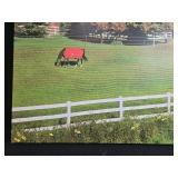 Signed 2016 Canvas Print, Grazing Horse with Red Blanket, 40x30 Inch Signed 2016 Canvas Print, Grazing Horse with Red Blanket, 40x30 Inch