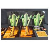 Framed Water Lily Photograph and Unframed Botanical Art Prints Collection Framed Water Lily Photograph and Unframed Botanical Art Prints Collection