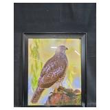 Collection of Wildlife Art Prints and Framed Hawk Photograph, 23x19 Inches Collection of Wildlife Art Prints and Framed Hawk Photograph, 23x19 Inches