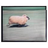 Collection of Wildlife Art Prints and Framed Hawk Photograph, 23x19 Inches Collection of Wildlife Art Prints and Framed Hawk Photograph, 23x19 Inches