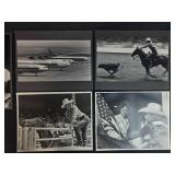 Collection of Vintage Black and White Rodeo and Northwest Orient Airline Photos Collection of Vintage Black and White Rodeo and Northwest Orient Airline Photos