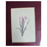 Set of 3 Framed Botanical Prints with Gold Frames Set of 3 Framed Botanical Prints with Gold Frames