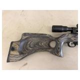 Ruger Model 10/22 Carbine .22 LR Caliber Ruger Model 10/22 Carbine .22 LR Caliber