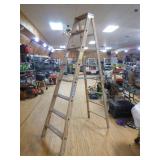 Werner Ladder Werner Ladder