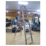 Werner Ladder Werner Ladder