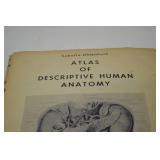 1954 Atlas of Descriptive Human Anatomy 2 Volume Set Sobotta-Uhlenhuth 1954 Atlas of Descriptive Human Anatomy 2 Volume Set Sobotta-Uhlenhuth