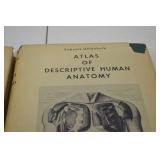 1954 Atlas of Descriptive Human Anatomy 2 Volume Set Sobotta-Uhlenhuth 1954 Atlas of Descriptive Human Anatomy 2 Volume Set Sobotta-Uhlenhuth