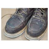 Irish Setter Ashby Men