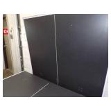 Ping Pong Table with Paddles and Balls