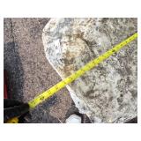 Large Tarp White Good For Woodpile may have holes or rips