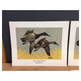 (5) Les Kouba - Unframed Flight Speed Wildlife Prints (5) Les Kouba - Unframed Flight Speed Wildlife Prints