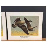 (5) Les Kouba - Unframed Flight Speed Wildlife Prints (5) Les Kouba - Unframed Flight Speed Wildlife Prints
