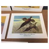 (5) Les Kouba - Unframed Flight Speed Wildlife Prints (5) Les Kouba - Unframed Flight Speed Wildlife Prints