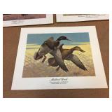 (5) Les Kouba - Unframed Flight Speed Wildlife Prints (5) Les Kouba - Unframed Flight Speed Wildlife Prints