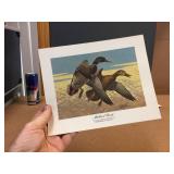 (5) Les Kouba - Unframed Flight Speed Wildlife Prints (5) Les Kouba - Unframed Flight Speed Wildlife Prints