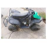 Brio Mini Youth ATV