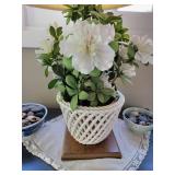 Sweet White Ceramic Basket Table Lamp