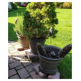 Outdoor Patio Planter Trio with Greenery