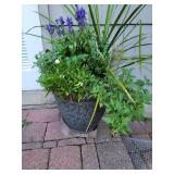 Outdoor Patio Planter with Greenery
