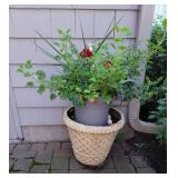 Outdoor Patio Lattice Planter with Greenery