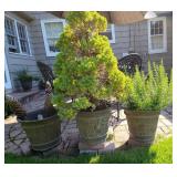 Outdoor Patio Planter Trio with Greenery
