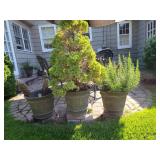 Outdoor Patio Planter Trio with Greenery