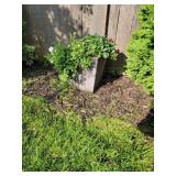 Resin Basketweave Patio Planter with Greenery, A