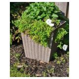 Resin Basketweave Patio Planter with Greenery, C