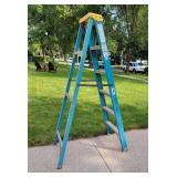 Werner Electro Master 6 ft. Ladder