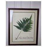 Stunning Modern Fine Art Botanical Print - M. & R. Gougstreet - Aspidiem Simulatum