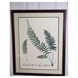 Stunning Modern Fine Art Botanical Print - M. & R. Gougstreet - Aspidium Acrostichoides