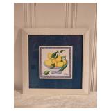 Adorable Fine Art Still Life Print - Lemons - Chene