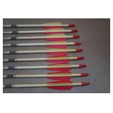 *9* Thunder Express 27" Arrows