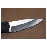 Buck Fixed Blade Hunting Knife