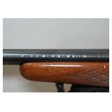 Remington Model 700 .30-06 Sprg Bolt-Action Rifle - Bushnell Scope