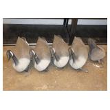 Goose Decoys