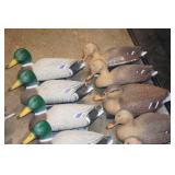 Duck Decoys